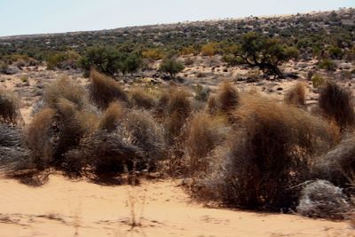 Scenic view of desert against sky