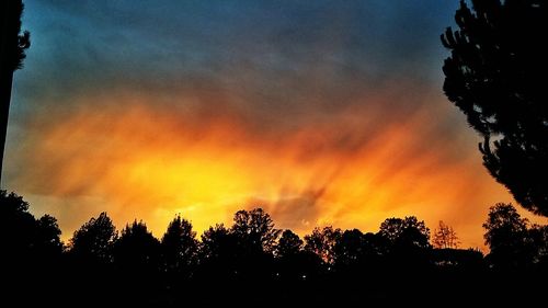 Silhouette of trees against sky at sunset