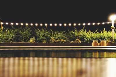 Illuminated plants by trees against sky at night