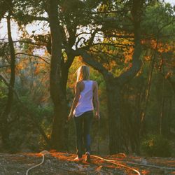 Rear view of woman standing by tree in forest