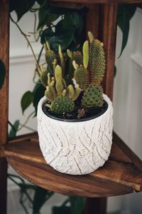 High angle view of potted plants on table