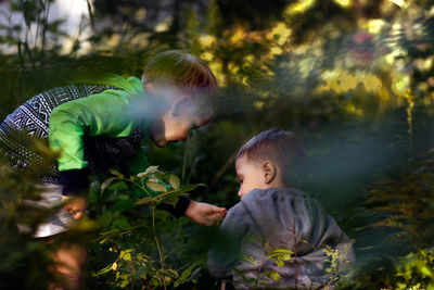 Two boys are gathering wild strawberries. image with selective focus