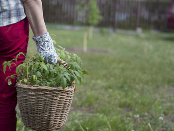 Midsection of man holding basket in field