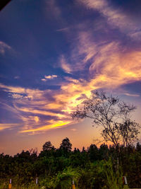 Silhouette trees against sky during sunset