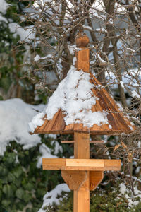 Close-up of snow covered tree