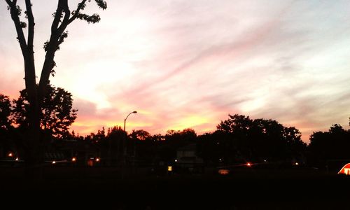 Silhouette of trees at sunset