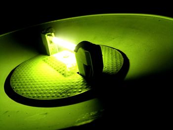 Close-up of illuminated horse