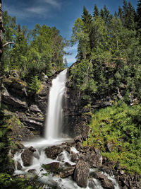 Scenic view of waterfall in forest