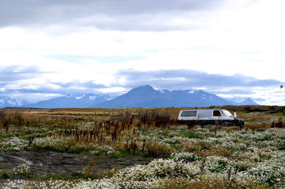 Scenic view of field against sky