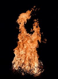 Close-up of bonfire against black background