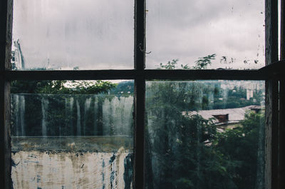 Trees seen through glass window of abandoned house