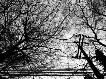 Low angle view of bare tree against sky