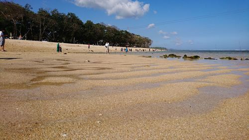 Group of people on beach