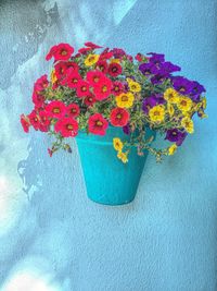 Close-up of flowers