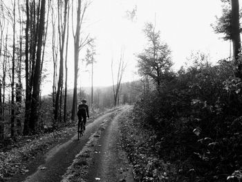 Rear view of man walking on road