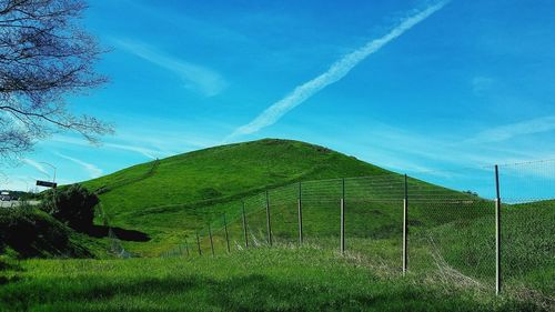 Low angle view of agricultural field against sky