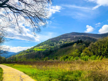 Scenic view of landscape against sky