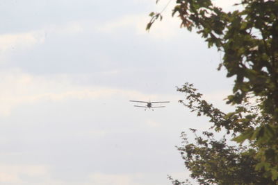 Low angle view of airplane flying in sky