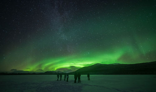 Silhouette people on land with aurora borealis in sky at night