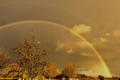 Rainbow over trees against dramatic sky