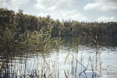 Scenic view of lake against sky