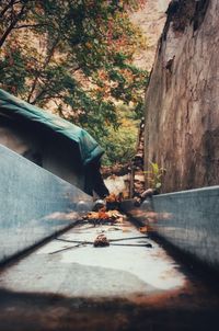 View of alley amidst trees in city