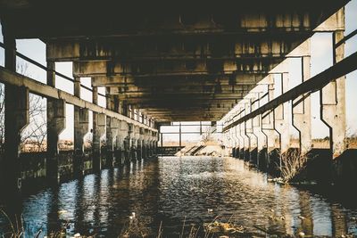 Abandoned bridge over pond