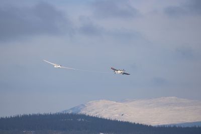 Low angle view of airplane flying against sky