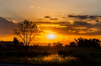 Silhouette trees on field against orange sky