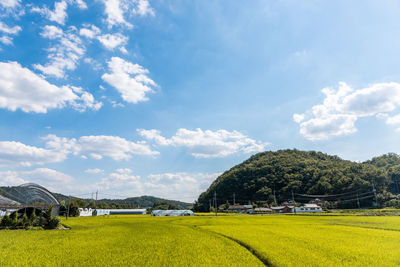 Scenic view of field against sky