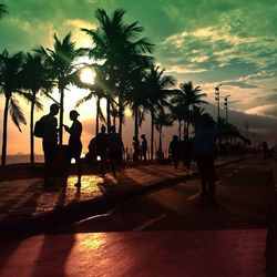 Silhouette palm trees at sunset