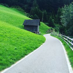 Pathway by grassy hill