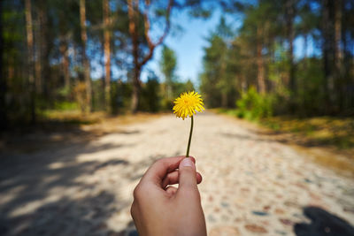 yellow