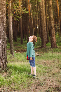 Cute boy looking up while standing by tree trunk