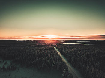 Scenic view of forest against sky during sunset