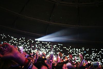 People enjoying music concert