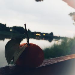 Close-up of apple on table against lake