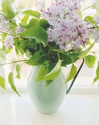 Close-up of plant on table