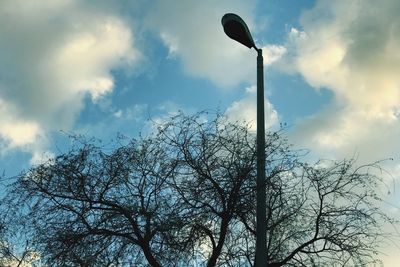 Low angle view of silhouette tree against sky