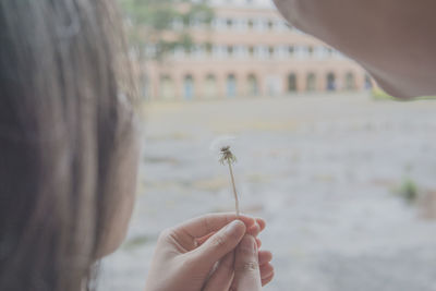 Close-up of woman hand holding flower