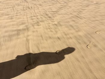 High angle view of shadow on sand footprints 