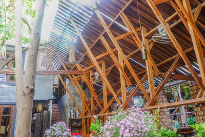 Low angle view of flowering plants by building