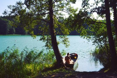 View of trees by lake