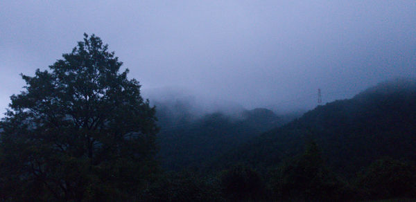 Silhouette trees in forest against sky