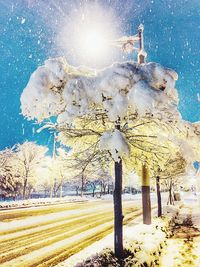 Trees against blue sky during winter