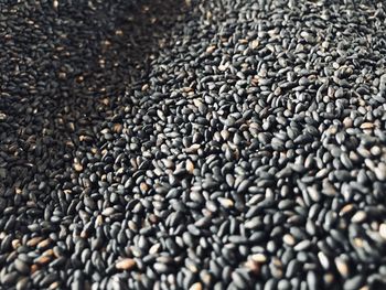 Full frame shot of coffee beans