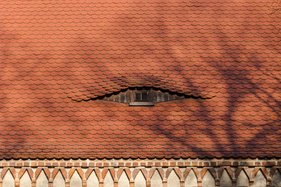 Close-up of roof