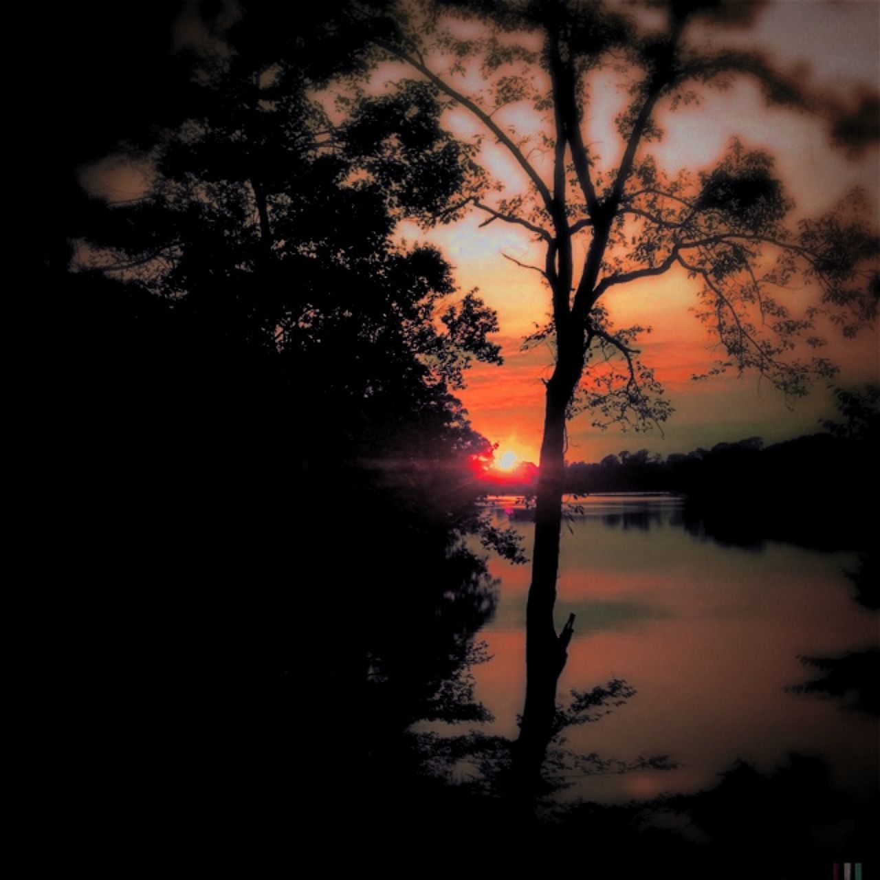 sunset, silhouette, tranquility, tranquil scene, tree, scenics, beauty in nature, sun, sky, orange color, nature, water, idyllic, lake, reflection, branch, non-urban scene, outdoors, cloud - sky, no people