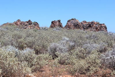 View of rock formations against clear sky