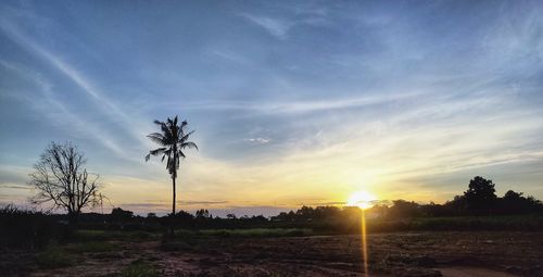 Scenic view of field against sky during sunset